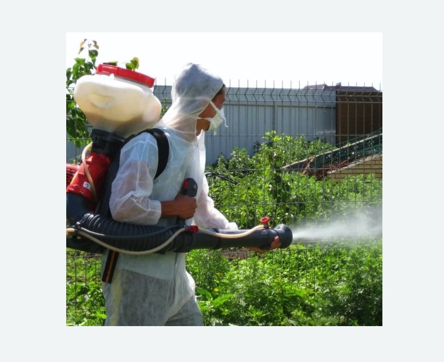 Акарицидная обработка территории в Кировске