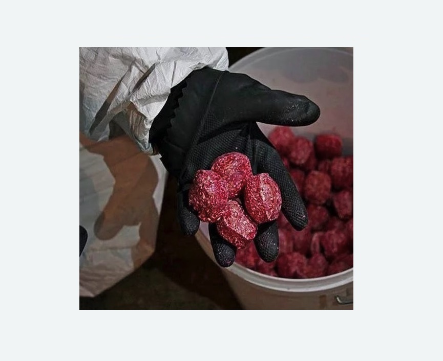 Обработка от крыс в Кировске