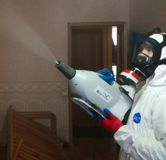 дезинсекция помещения в Кировске