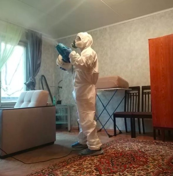 дезинсекция квартиры в Кировске