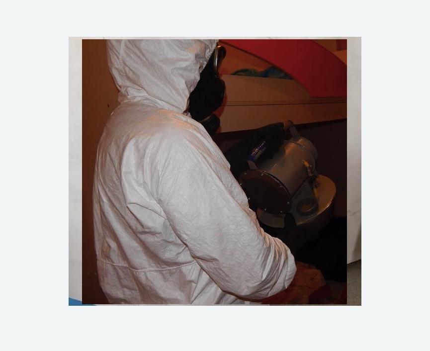 Дезинфекция от муравьев в Кировске