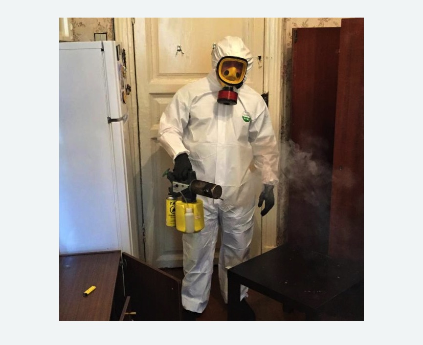 уничтожение муравьев в квартире в Кировске